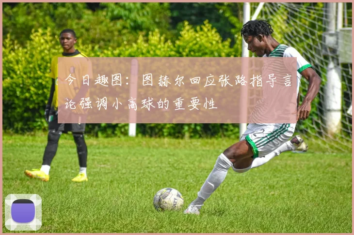 今日趣图：图赫尔回应张路指导言论强调小高球的重要性